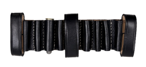 Hazen_loop_with_bullet_back