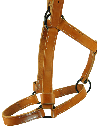 HalterRussetNoseband_SM.jpg