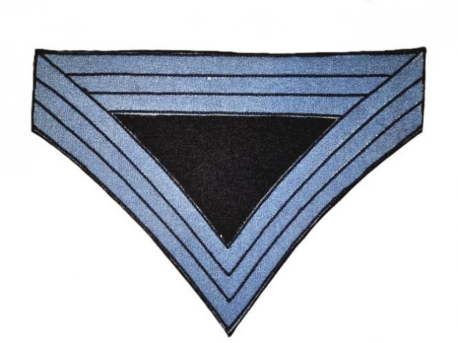 iwChevronRegQtrMstrSgt