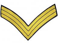 iwChevron_Sgt