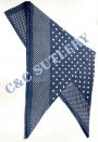 IMG_0567bandannaRRR